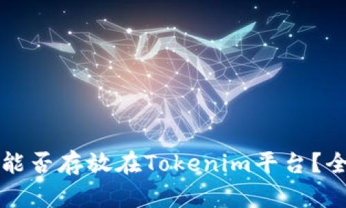 比特币能否存放在Tokenim平台?全面解析