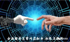   全面解析梵蒂冈虚拟币：机遇与挑战