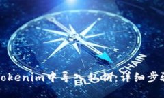如何在Tokenim中导入私钥：详细步骤与指南