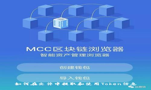 如何在文件中提取和使用Token信息