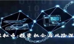 FRCH虚拟币：投资机会与风险深度解析