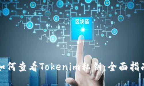 如何查看Tokenim私钥:全面指南