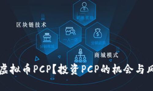 什么是虚拟币PCP？投资PCP的机会与风险分析