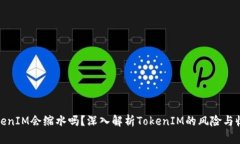 TokenIM会缩水吗？深入解析TokenIM的风险与收益