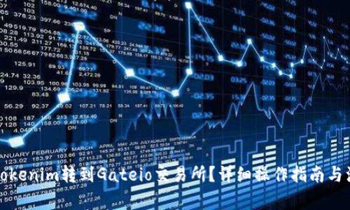 如何将Tokenim转到Gateio交易所?详细操作指南与注意事项