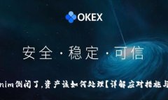 Tokenim倒闭了，资产该如何处理？详解应对措施与