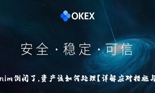 Tokenim倒闭了，资产该如何处理？详解应对措施与建议