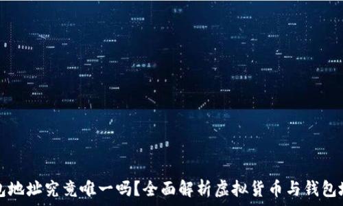   
虚拟币钱包地址究竟唯一吗？全面解析虚拟货币与钱包地址的关系