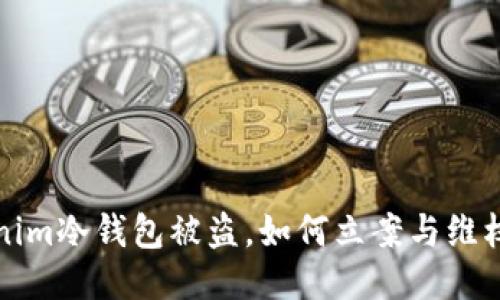 Tokenim冷钱包被盗，如何立案与维权指南