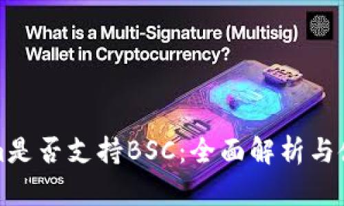 Tokenim是否支持BSC：全面解析与使用指南