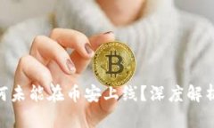 Tokenim为何未能在币安上线？深度解析及未来展望