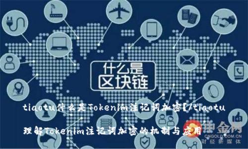 tiaotu什么是Tokenim注记词加密？/tiaotu

理解Tokenim注记词加密的机制与应用
