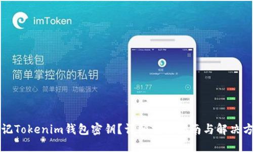 忘记Tokenim钱包密钥？详细找回指南与解决方案