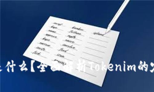 Tokenim是什么？全面解析Tokenim的定义与应用