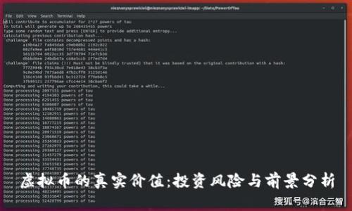 虚拟币的真实价值：投资风险与前景分析