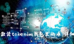 如何激活tokenim钱包里的币：详细指南