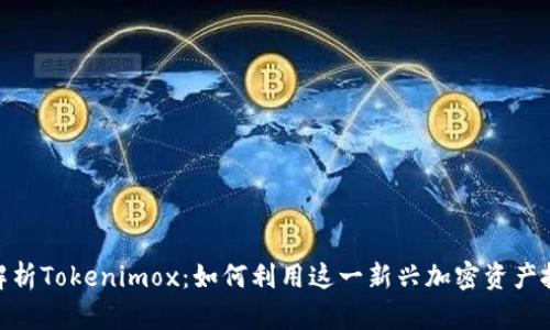 : 全面解析Tokenimox：如何利用这一新兴加密资产投资组合