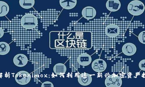 : 全面解析Tokenimox：如何利用这一新兴加密资产投资组合