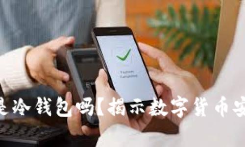 Tokenim是冷钱包吗？揭示数字货币安全的真相