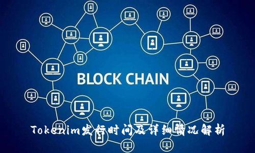 Tokenim发行时间及详细情况解析