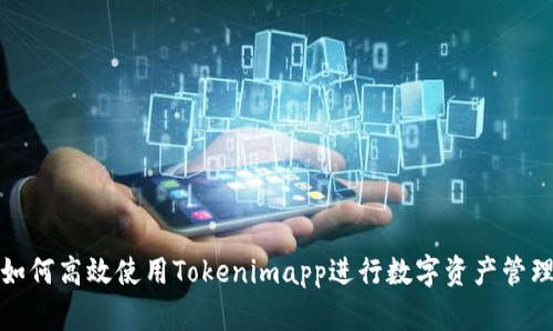 如何高效使用Tokenimapp进行数字资产管理