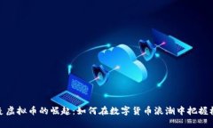 丹麦虚拟币的崛起：如何在数字货币浪潮中把握