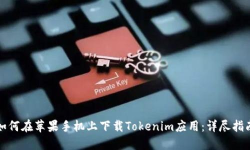 如何在苹果手机上下载Tokenim应用：详尽指南
