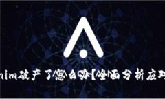 Tokenim破产了怎么办？全面分析应对策略