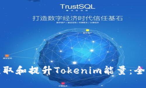 如何获取和提升Tokenim能量：全面指南