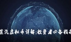 蒸汽虚拟币详解：投资者必备指南