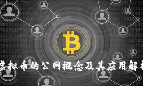 虚拟币的公网概念及其应用解析