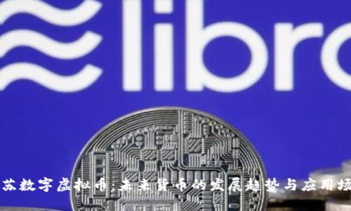 江苏数字虚拟币：未来货币的发展趋势与应用场景