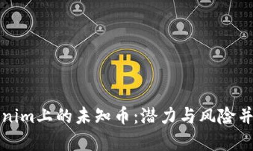 深入探索Tokenim上的未知币：潜力与风险并存的投资选择