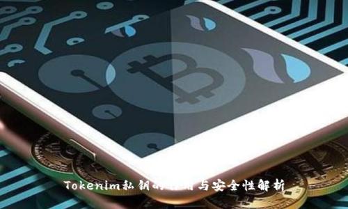 Tokenim私钥的作用与安全性解析
