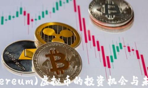 
银(Ethereum)虚拟币的投资机会与未来展望