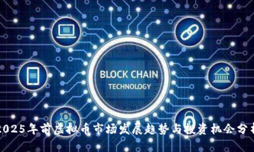 2025年前虚拟币市场发展趋势与投资机会分析