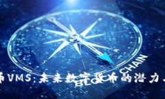 虚拟币VMS：未来数字货币的潜力与挑战