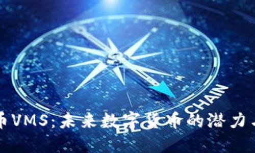 虚拟币VMS：未来数字货币的潜力与挑战