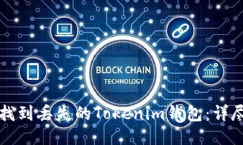 如何找到丢失的Tokenim钱包：详尽指南