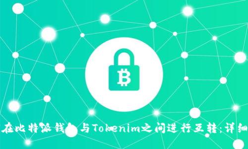 如何在比特派钱包与Tokenim之间进行互转：详细指南