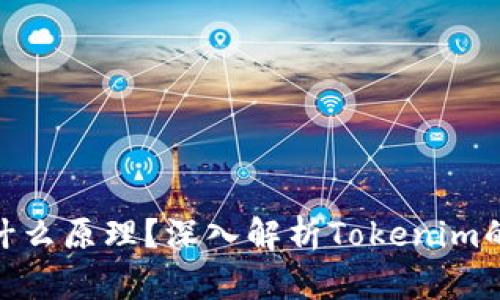 Tokenim是什么原理？深入解析Tokenim的机制与应用