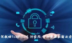 如何找回Tokenim支付密码：详细步骤和解决方案