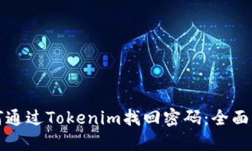 如何通过Tokenim找回密码：全面指南