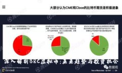 深入解析BRC虚拟币：未来趋势与投资机会