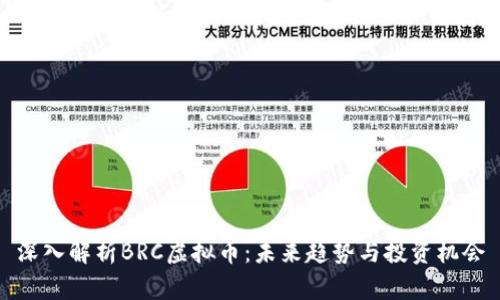 深入解析BRC虚拟币：未来趋势与投资机会