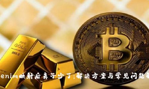 Tokenim映射后鼻子少了：解决方案与常见问题解答