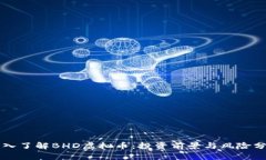 深入了解BHD虚拟币：投资前景与风险分析