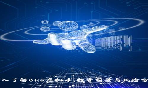 深入了解BHD虚拟币：投资前景与风险分析
