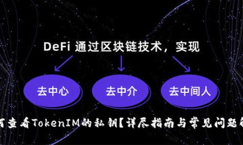 如何查看TokenIM的私钥？详尽指南与常见问题解答