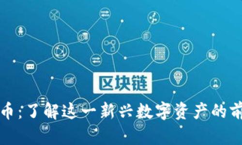 土豆虚拟币：了解这一新兴数字资产的前景与挑战